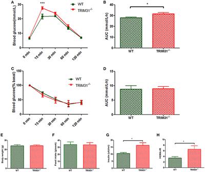 TRIM31 Deficiency Is Associated with Impaired Glucose Metabolism and Disrupted Gut Microbiota in Mice